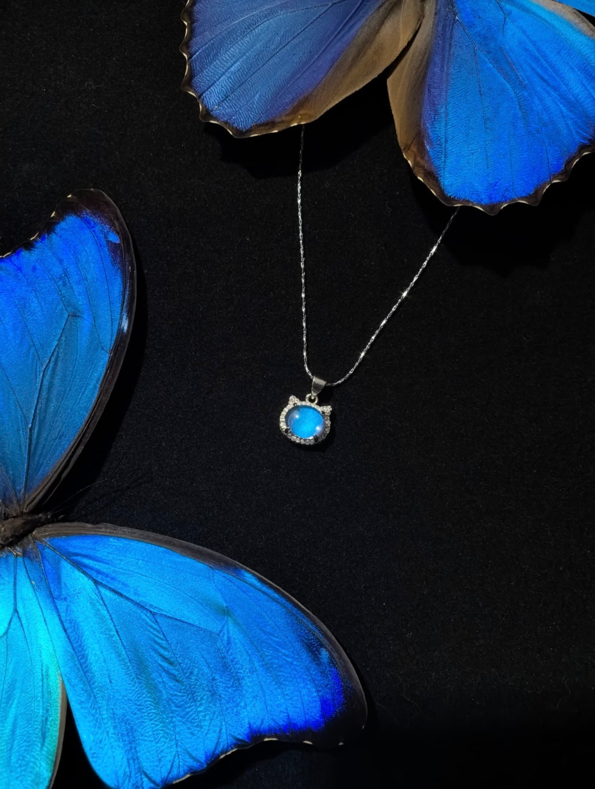 EIRA Morpho Eye Glow