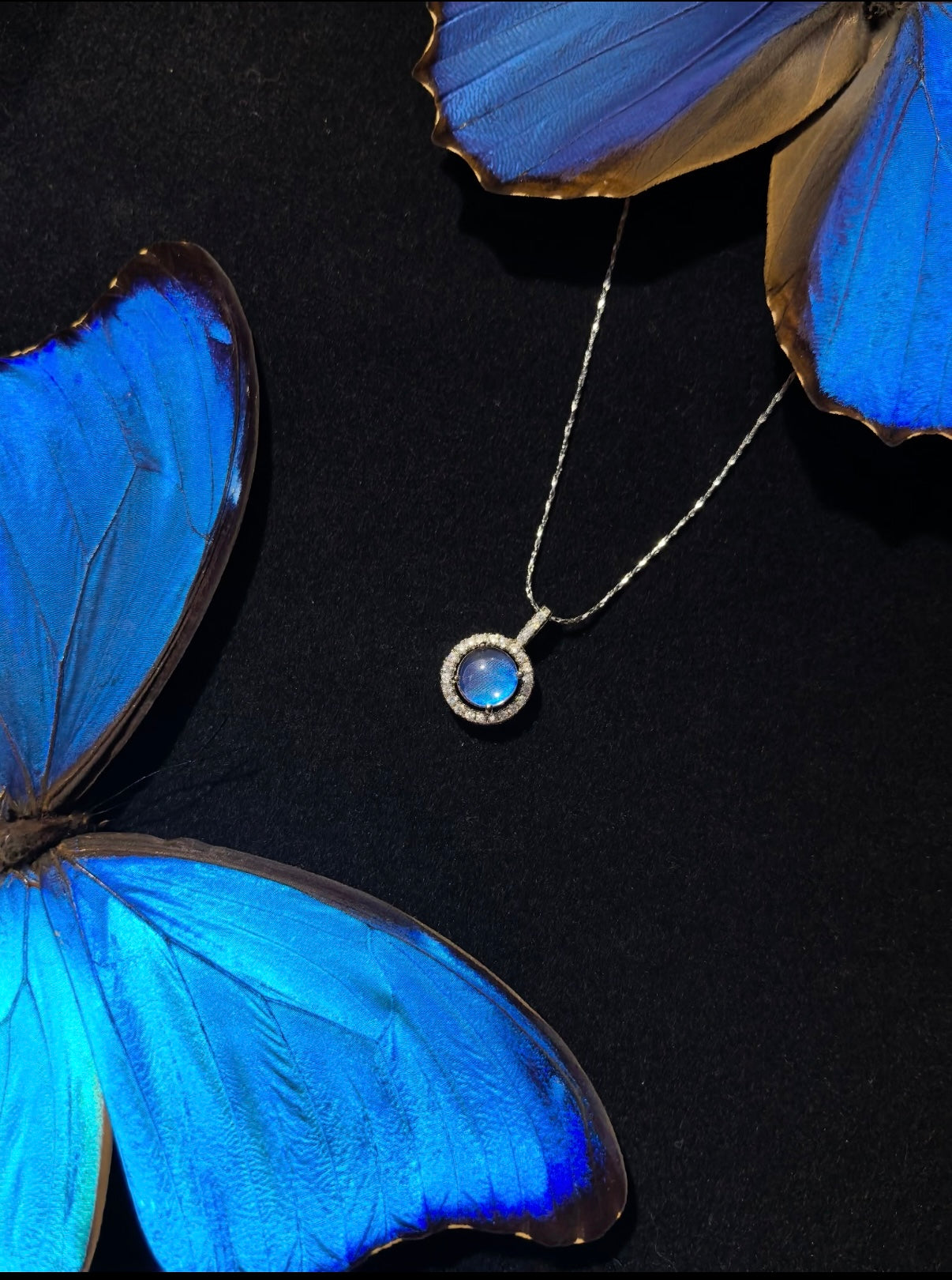 EIRA Stellar Morpho Blue