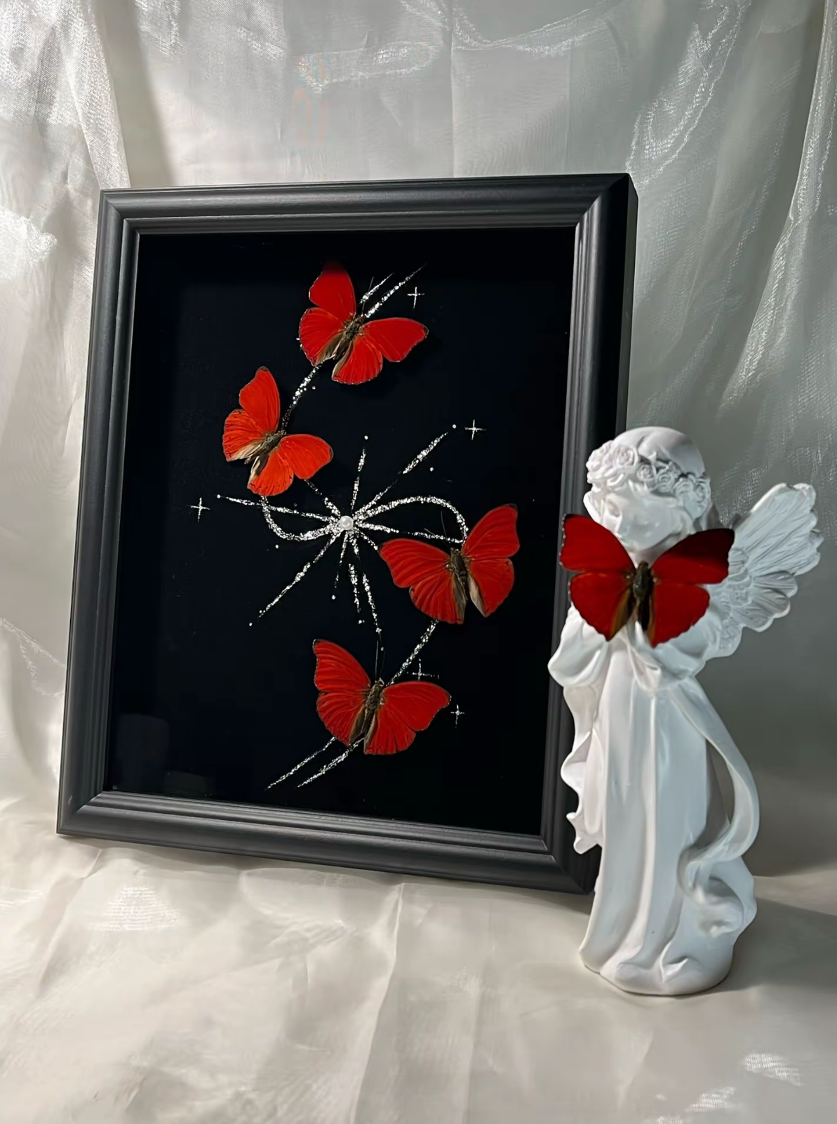 EIRACymothoe sangaris Specimen Frame