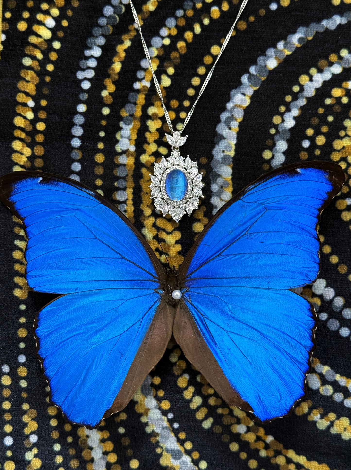 EIRA Stellar Morpho Blue