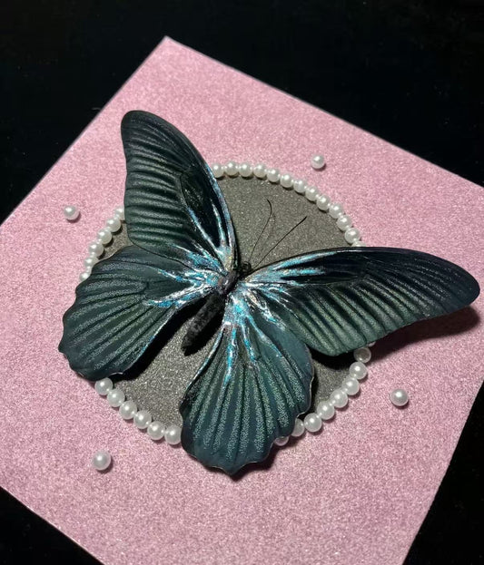 EIRA Papilio memnon Specimen Frame
