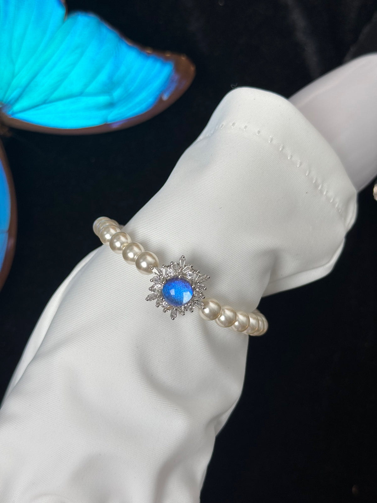 Morpho Whisper · Creamy Aurora