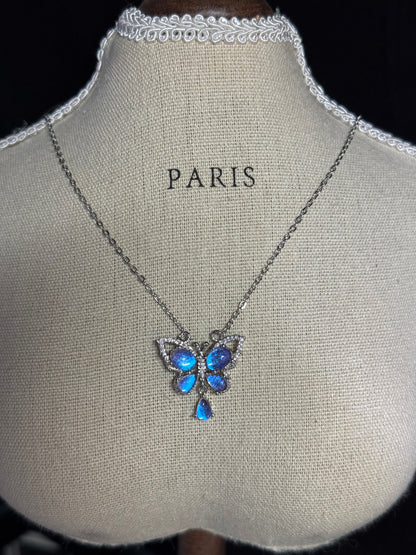 Starlight Morpho